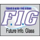 FUTURE INFO GLASS
